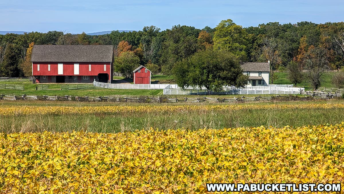 The photo shows a picturesque farm scene on the Gettysburg battlefield. In the foreground, a field of golden crops stretches across the landscape, bordered by split-rail fences. Beyond the field, a traditional red barn and smaller red outbuilding stand against a backdrop of lush green grass and trees with autumn foliage. A white farmhouse and picket fence are also visible, adding to the idyllic rural setting. The clear blue sky and distant rolling hills complete the serene and historic atmosphere of this well-preserved battlefield location.