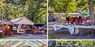 A collage of four photos highlighting different aspects of Shupps Grove Flea Market in Lancaster County, Pennsylvania. The top left image shows vendor tents with a variety of vintage furniture, bicycles, and other collectibles displayed outside, set in a tree-filled area. The top right image captures a section of the market where tables are covered with a range of items, including jewelry and small antiques, under the shade of tall trees. The bottom left photo offers an inside view of a vendor tent, showcasing neatly organized tables filled with glassware, wooden items, and various other antiques. The bottom right image features the market's entrance sign, celebrating its 40th anniversary and advertising a theme week focused on political memorabilia. The collage reflects the unique, wooded, park-like setting and eclectic offerings of this flea market, which has been a beloved destination since 1962.