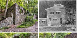 A collage of four images showing various perspectives of the abandoned Colonial Springs bottling plant in Valley Forge, PA. The top left image shows the exterior of the stone ruins, with ivy and greenery overtaking the structure. The top right image is a historic photograph of the bottling plant in its operational days, showcasing the original building's architecture with people standing near a vintage car. The bottom left image captures the entrance to the springhouse, with stone steps leading up to an arched doorway, surrounded by lush vegetation. The bottom right image shows the interior of the ruins, with the crumbling stone walls and remnants of the bottling facility, now overtaken by nature. These images illustrate the blend of history and nature found at this site, where water was commercially bottled until the 1930s, now part of Valley Forge National Historical Park.