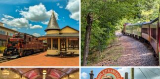 A collage of four photos showcasing the New Hope Railroad in Bucks County, Pennsylvania, including: the historic Witch's Hat train station with a maroon locomotive beside it under a blue sky; the train winding through a lush forested area; passengers seated inside an open-air observation car with wooden benches; and a bright red "Welcome to the New Hope & Ivyland Railroad" sign at the station entrance, inviting visitors to "ride the rails back in time."