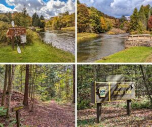 A collage of four scenic photos taken at Bendigo State Park in Elk County, Pennsylvania. The top left image shows the Bendigo Canoe Launch along the East Branch Clarion River, with a sign providing directions for paddlers. The top right image captures the peaceful river flowing through the park, with a stone observation platform overlooking the water and colorful autumn trees lining the banks. The bottom left photo features the Eagle Trail, a serene forest path covered in fallen leaves, surrounded by tall trees with early fall foliage. The bottom right image displays the Bendigo State Park entrance sign, set in a wooded area with a forest floor blanketed by leaves, welcoming visitors to the park.