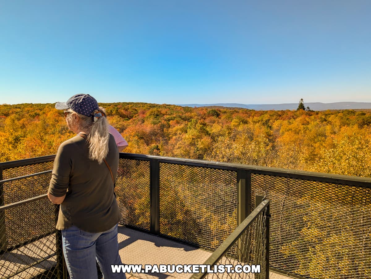 Two people stand on a metal observation deck at Mount Davis, the highest point in Pennsylvania, taking in the expansive fall foliage views of the Laurel Highlands. The trees below are ablaze with rich autumn colors, ranging from golden yellows to deep oranges and reds. The clear blue sky stretches overhead, with distant mountains faintly visible on the horizon. The scene highlights the beauty of the season, as the observers enjoy the vibrant and scenic landscape from their elevated vantage point.