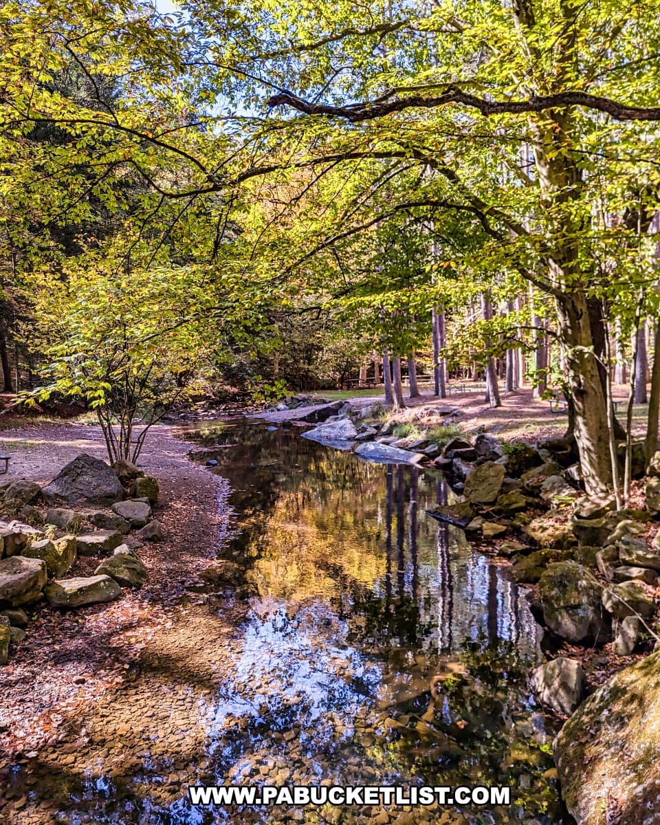 Exploring Clear Creek State Park in Jefferson County - PA Bucket List