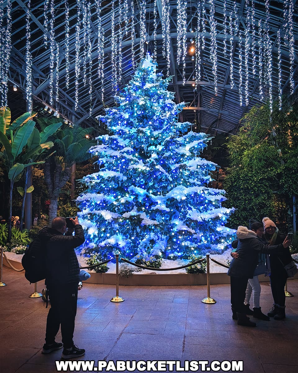 24-25シーズン　ハーランド 正規品・新品タグ付き】マンチェスターシティ 24/25 ハーランド