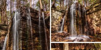 A three-photo collage of Hector Falls in the Allegheny National Forest features a hiker standing at the base of the towering monolithic rock formation with water flowing down both sides, a view of a rainbow forming in the mist at the foot of the falls, and an overhead perspective showing the waterfall plunging into a rocky grotto surrounded by dense forest in Warren County, Pennsylvania.