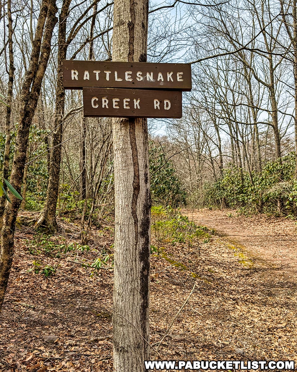 Exploring Rattlesnake Falls in Monroe County - PA Bucket List