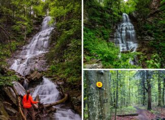 A collage of three images near Angel Falls in Loyalsock State Forest, featuring a hiker at the base of the 70-foot waterfall surrounded by rocky terrain and dense forest, a full view of the cascading falls framed by greenery and cliffs, and a yellow-blazed section of the Loyalsock Trail winding through a damp, wooded landscape in Sullivan County, Pennsylvania.