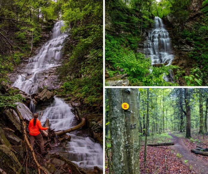Exploring-Angel-Falls-Loyalsock-State-Forest-Pennsylvania A collage of three images near Angel Falls in Loyalsock State Forest, featuring a hiker at the base of the 70-foot waterfall surrounded by rocky terrain and dense forest, a full view of the cascading falls framed by greenery and cliffs, and a yellow-blazed section of the Loyalsock Trail winding through a damp, wooded landscape in Sullivan County, Pennsylvania.