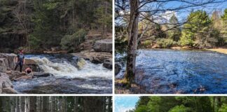 A collage of four images from the Austin T. Blakeslee Natural Area in Monroe County, Pennsylvania features hikers exploring rocky terrain near Tobyhanna Falls, a view of Tobyhanna Creek lined with evergreens and bare trees, a well-defined trail through a dense forest of tall pines, and a scenic cascade of Tobyhanna Falls surrounded by lush summer foliage.