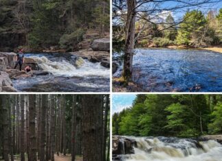 A collage of four images from the Austin T. Blakeslee Natural Area in Monroe County, Pennsylvania features hikers exploring rocky terrain near Tobyhanna Falls, a view of Tobyhanna Creek lined with evergreens and bare trees, a well-defined trail through a dense forest of tall pines, and a scenic cascade of Tobyhanna Falls surrounded by lush summer foliage.