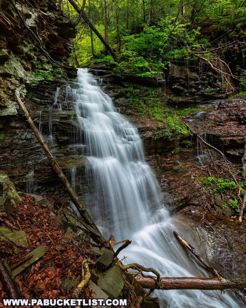A side view of Gipson Falls near Angel Falls in Loyalsock State Forest, with water streaming down a steep, rocky ledge into a pool below, surrounded by moss-covered rocks, fallen branches, and vibrant spring foliage in Sullivan County, Pennsylvania.