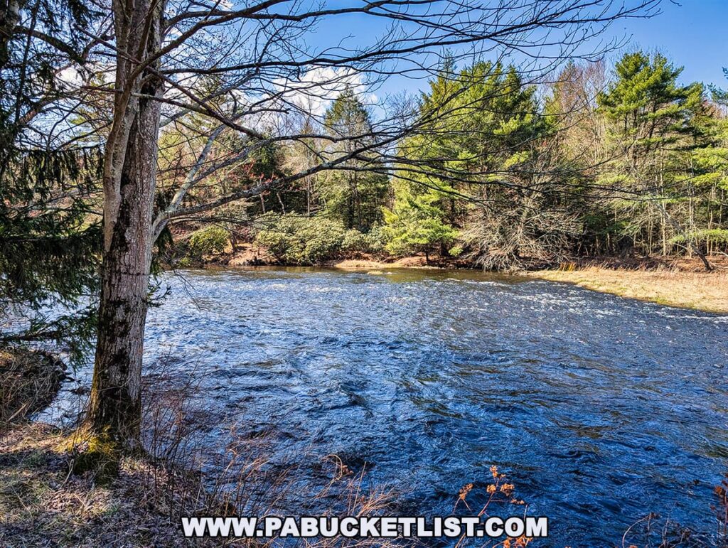 A scenic view of Tobyhanna Creek flowing swiftly through the Austin T. Blakeslee Natural Area in Monroe County, Pennsylvania, with a mix of bare and evergreen trees lining the far bank under a bright blue sky.