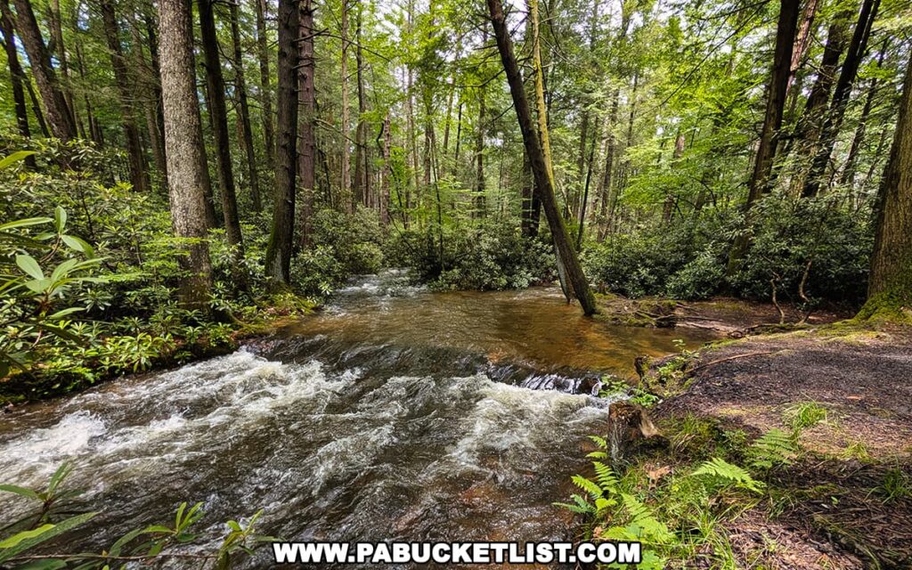 Standing Stone Creek flowing through the Alan Seeger Natural Area in Huntingdon COunty, PA.