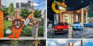 A collage of 4 attractions in Dauphin County, PA, including Hersheypark, the AACA Museum, Indian Echo Caverns, and Lake Tobias Wildlife Park.
