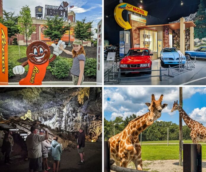 Dauphin-County-Must-See-Attractions A collage of 4 attractions in Dauphin County, PA, including Hersheypark, the AACA Museum, Indian Echo Caverns, and Lake Tobias Wildlife Park.