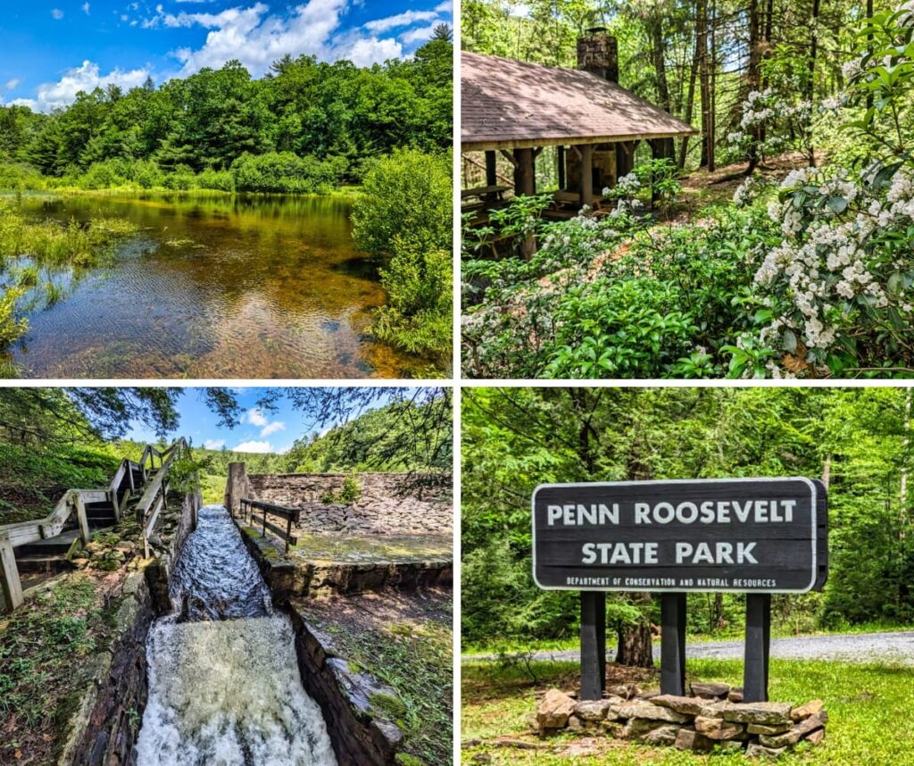 Collage of Penn-Roosevelt State Park featuring the calm lake with forest reflections, picnic pavilion with blooming mountain laurel, historic stone-faced spillway with flowing water, and the park entrance sign along a forest road.