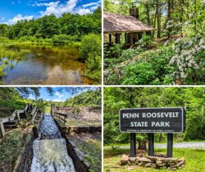 Collage of Penn-Roosevelt State Park featuring the calm lake with forest reflections, picnic pavilion with blooming mountain laurel, historic stone-faced spillway with flowing water, and the park entrance sign along a forest road.