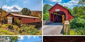 Collage of four photos showcasing the covered bridges of Sullivan County, Pennsylvania, including views of the Forksville, Hillsgrove, and Sonestown bridges surrounded by vibrant scenery.