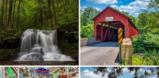 A collage of some of the best things to see and do in Sullivan County Pennsylvania.
