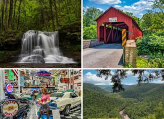 A collage of some of the best things to see and do in Sullivan County Pennsylvania.