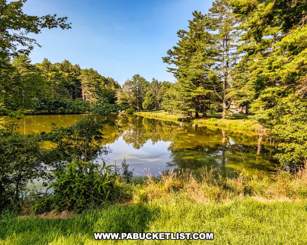 Scenic view of a tranquil lake surrounded by lush trees and grassy banks at the Dorflinger-Suydam Wildlife Sanctuary in Wayne County, PA