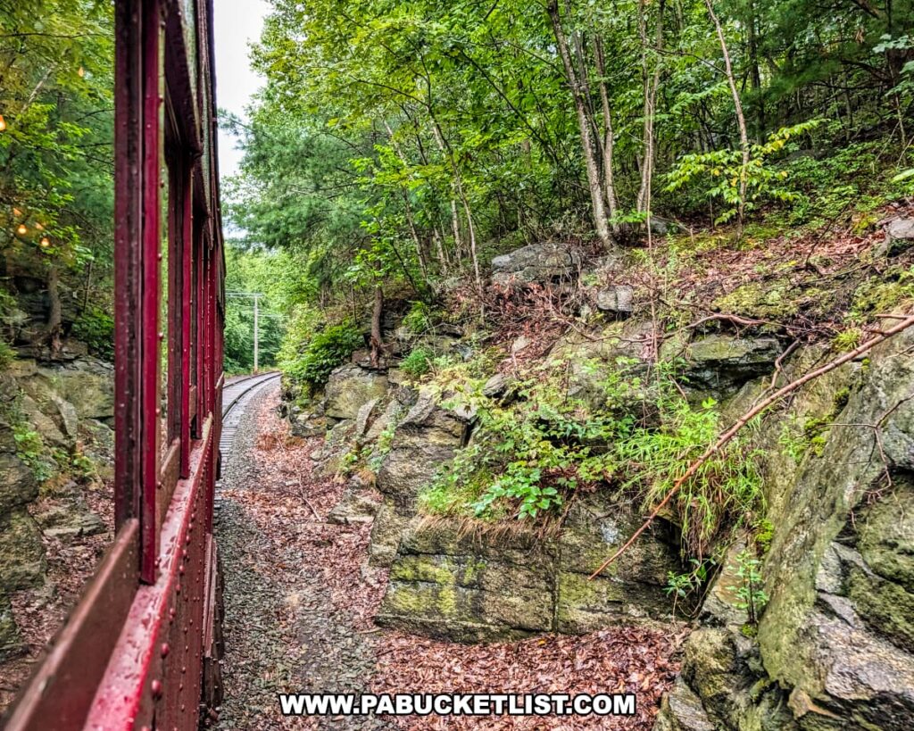 View from a vintage trolley car on the Electric City Trolley Museum’s 5.5 mile round-trip excursion in Lackawanna County, as the tracks curve through a rocky, wooded passage surrounded by lush green trees.