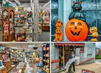 A four-panel collage showcasing Duchess Outlet Antiques in Pittston, PA. The top-left and bottom-left panels display the interior of the two-level, 6,000 sq ft multi-vendor store, filled with various antiques, collectibles, and vintage goods displayed on shelves, in cabinets, and across the spacious floor. The top-right panel focuses on a whimsical Halloween-themed display featuring a black cat perched on a large pumpkin, flanked by smaller pumpkin figures, set against a window. The bottom-right panel shows the exterior of the store, housed in the old Pittston Stove Building, with a sign reading "ANTIQUES OPEN" and a mannequin in a suit holding a white dress near the entrance.