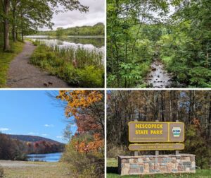 Collage of scenes from Nescopeck State Park in Luzerne County featuring a lakeside trail, rocky Nescopeck Creek, autumn foliage around Lake Frances, and the park entrance sign.
