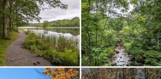 Collage of scenes from Nescopeck State Park in Luzerne County featuring a lakeside trail, rocky Nescopeck Creek, autumn foliage around Lake Frances, and the park entrance sign.