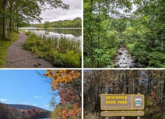 Collage of scenes from Nescopeck State Park in Luzerne County featuring a lakeside trail, rocky Nescopeck Creek, autumn foliage around Lake Frances, and the park entrance sign.