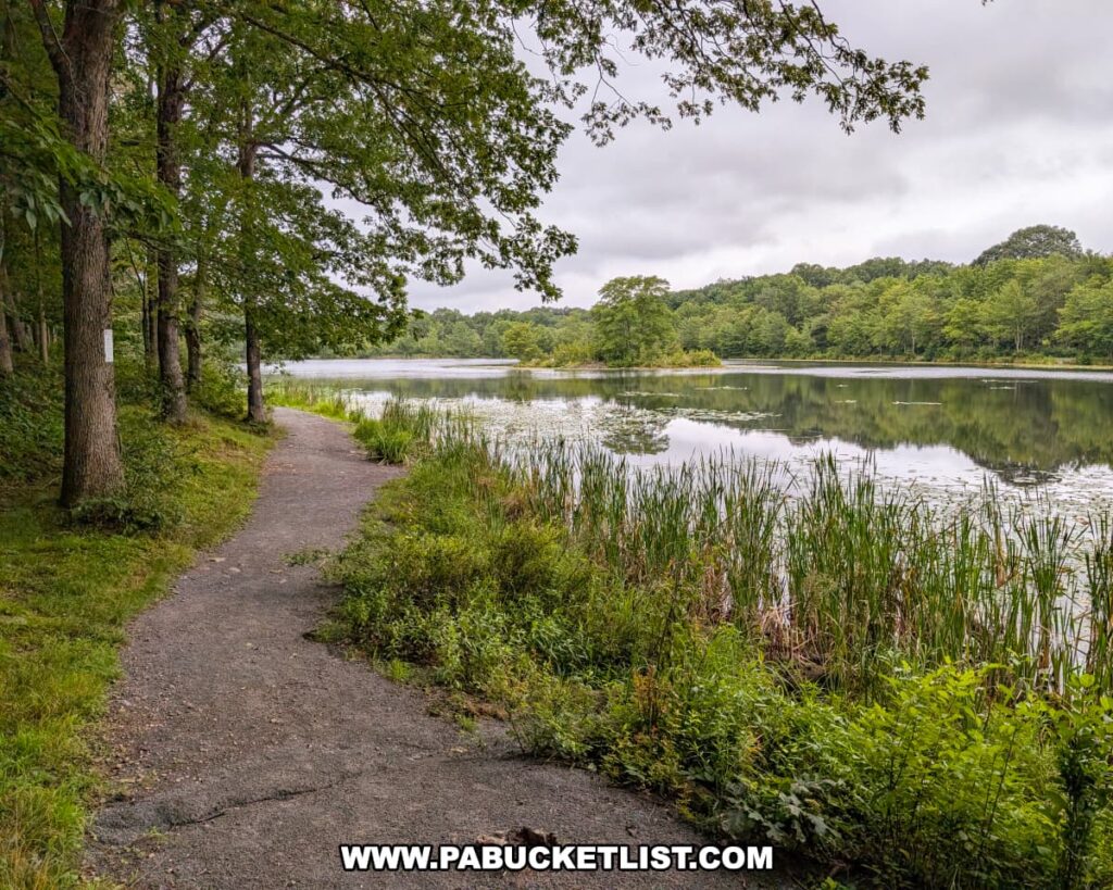 Gravel trail winding along the edge of Lake Frances at Nescopeck State Park, with tall grasses, calm water, and lush green forest in the background.
