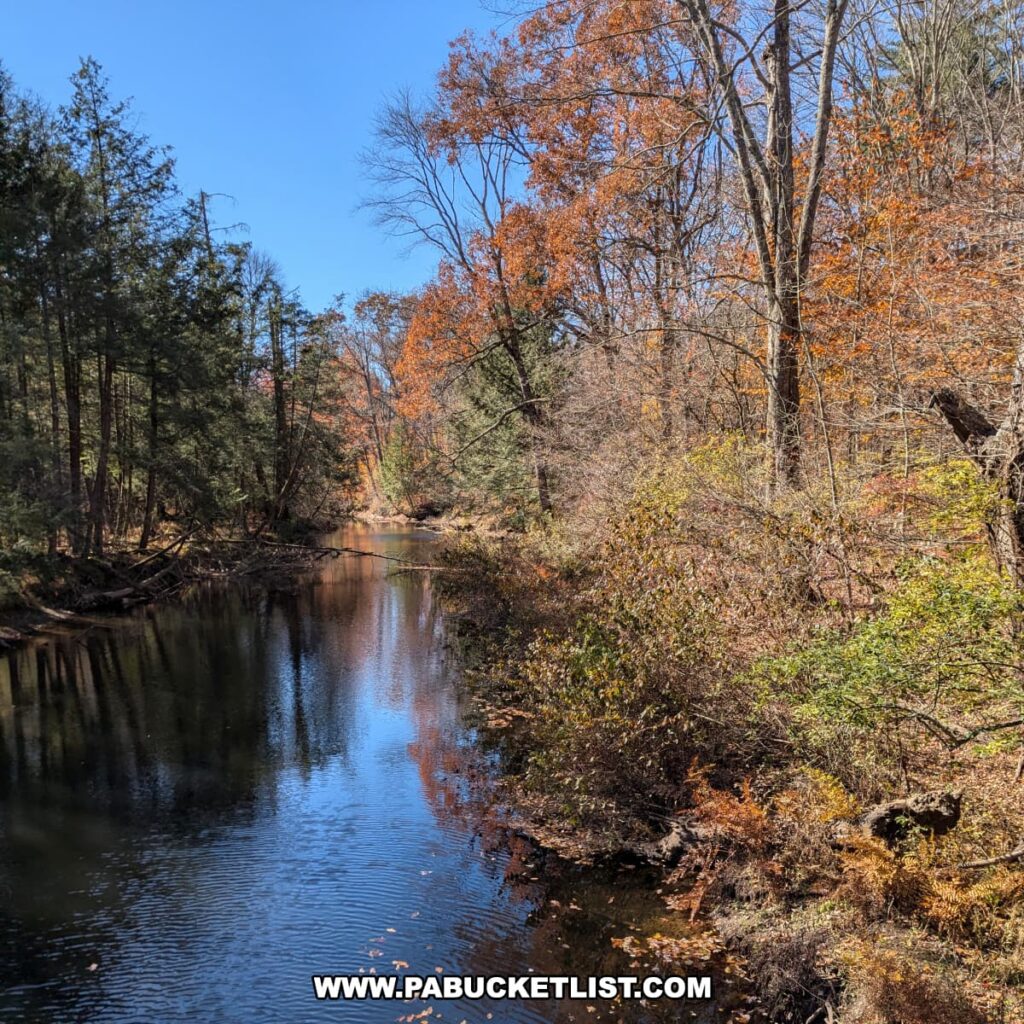 Nescopeck Creek winding through colorful autumn foliage at Nescopeck State Park in Luzerne County, with reflections of trees on the calm water.