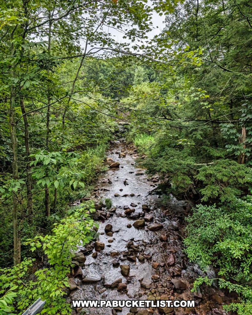 Rocky stretch of Nescopeck Creek flowing through dense green forest at Nescopeck State Park in Luzerne County on a summer day.