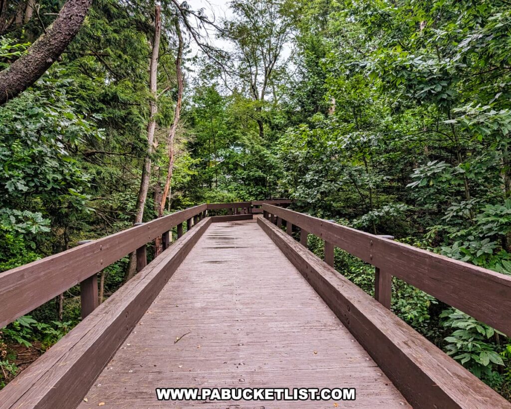 Wooden footbridge surrounded by dense green forest along the trail leading to the visitor center at Nescopeck State Park in Luzerne County.