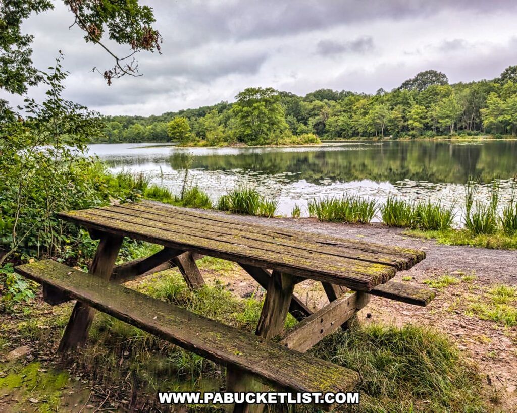 Picnic table overlooking Lake Frances at Nescopeck State Park in Luzerne County, surrounded by lush greenery and calm reflective waters.