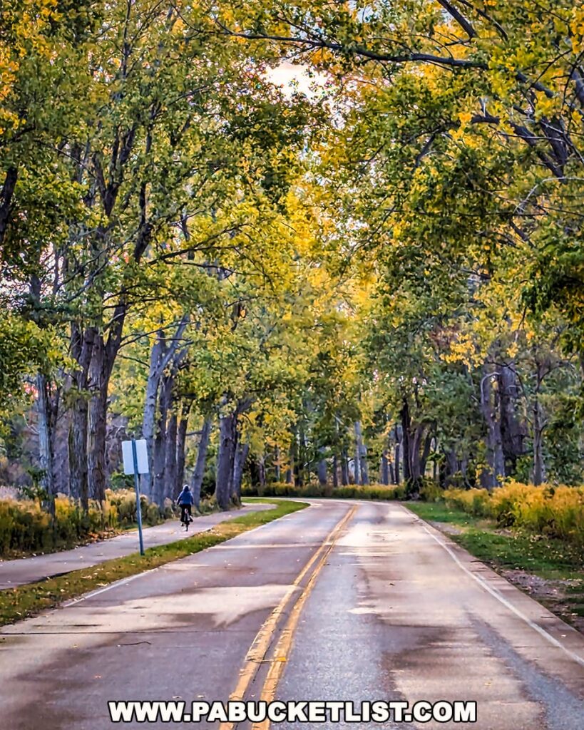 Cyclist riding along a tree-lined path at Presque Isle State Park surrounded by golden-yellow fall foliage arching over the road on an autumn afternoon.