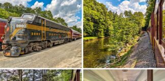 A collage of four photos from the Stourbridge Line sightseeing excursion in Honesdale, Wayne County, Pennsylvania, featuring a black and yellow Pennsylvania Railroad locomotive 9880, scenic river views along the forested Lackawaxen River, the train curving through wooded terrain, and passengers seated inside a vintage railcar with blue upholstered seats.