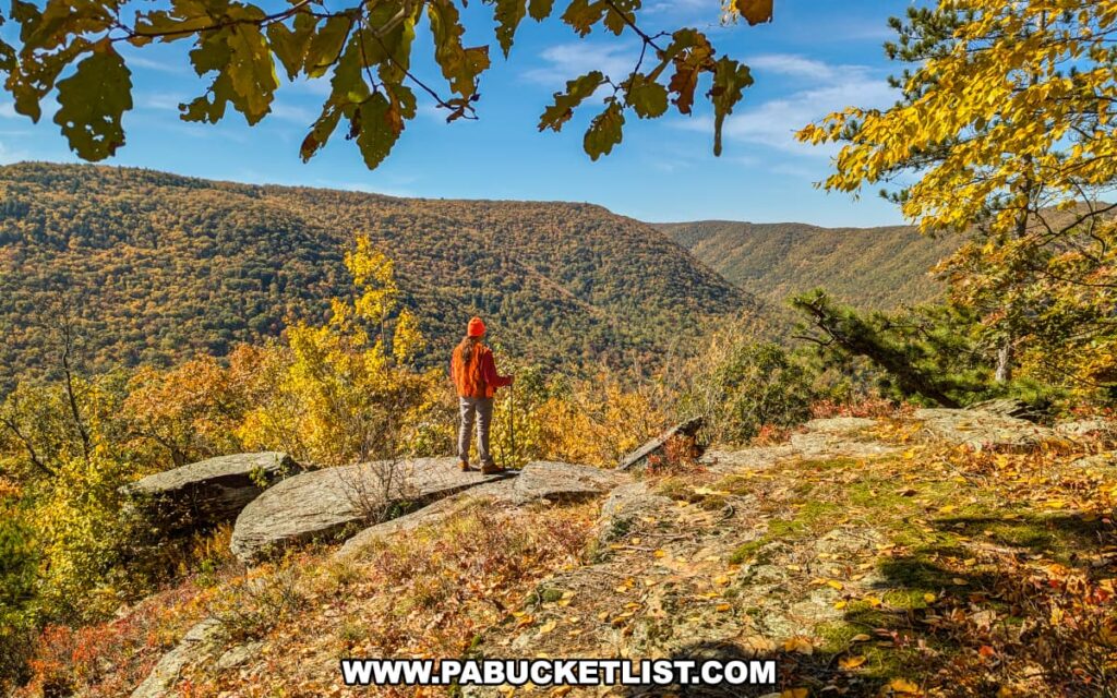 Fall foliage at Sinnemahoning Canyon VIsta in Cameron County, PA.
