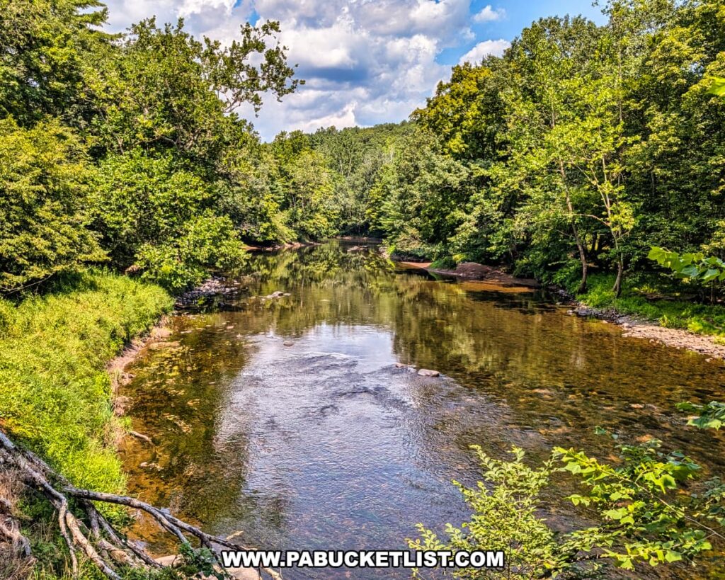 A tranquil stretch of the Lackawaxen River flows through a lush, tree-lined landscape under a partly cloudy sky, as seen from a Stourbridge Line train during a sightseeing excursion in Honesdale, Wayne County, Pennsylvania.