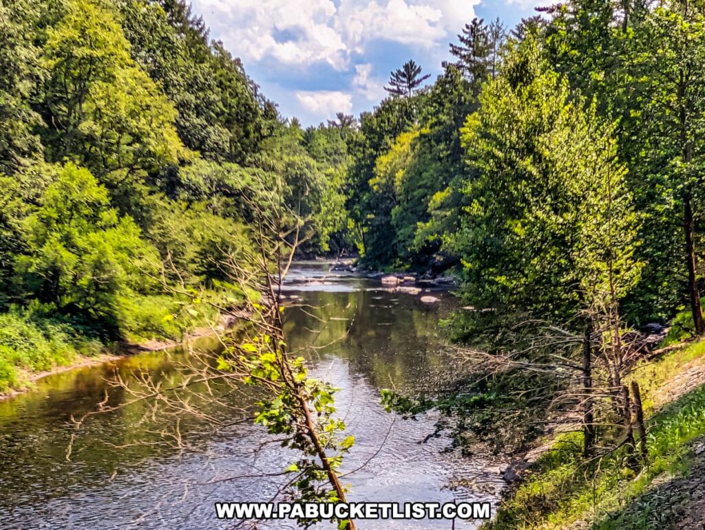 A summertime view of the gently flowing Lackawaxen River surrounded by dense green forest and scattered rocks, as seen from the Stourbridge Line railroad sightseeing excursion in Honesdale, Wayne County, Pennsylvania.