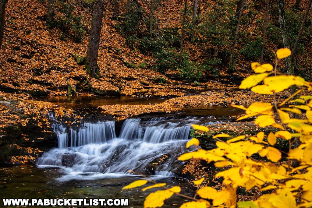 Brilliant fall foliage surrounding Wykoff Run Falls in the Cameron County, PA portion of the Quehanna Wild Area.