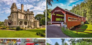 Collage of attractions in Columbia County, Pennsylvania, including the historic Jackson Mansion, the East and West Paden twin covered bridges, Bill’s Old Bike Barn motorcycle museum, and Knoebels Amusement Resort with its mascot Kozmo.