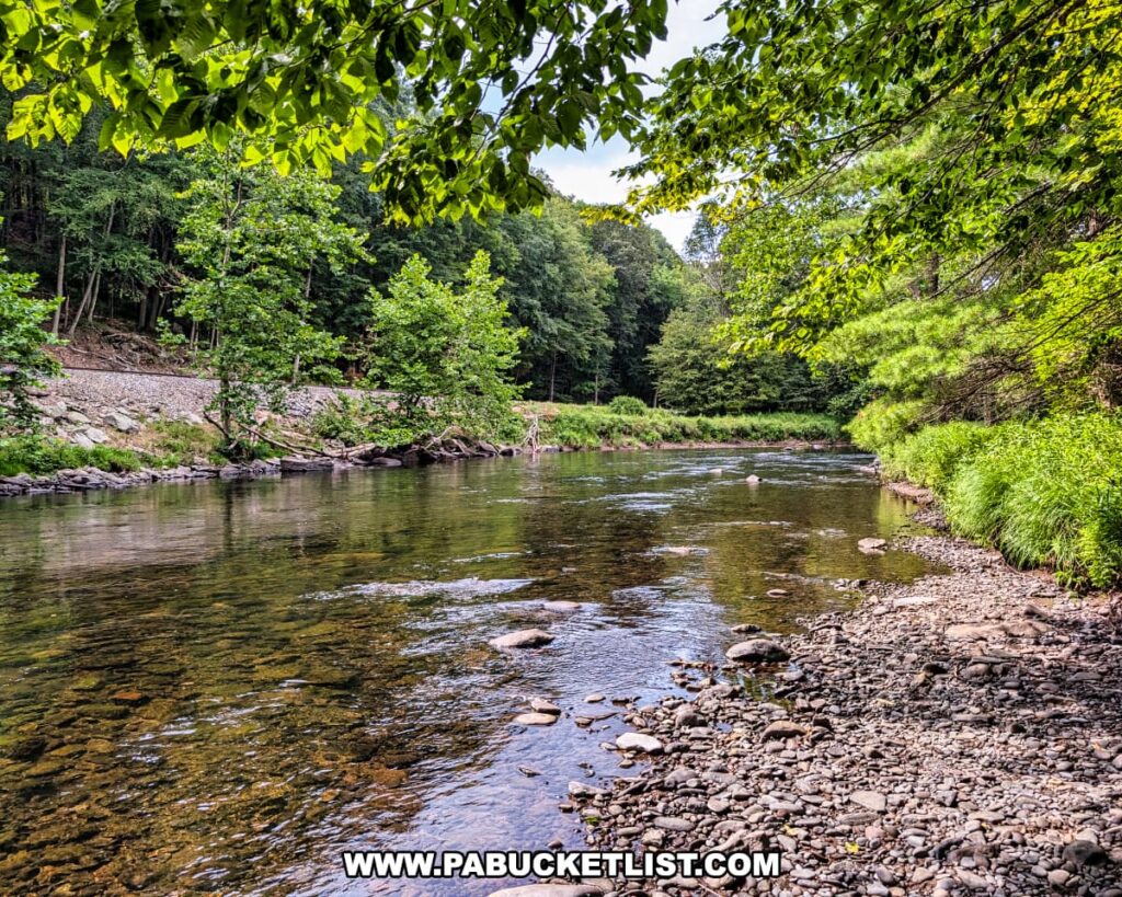 Scenic view of the Lackawaxen River at the D\&H Canal Park in Wayne County, Pennsylvania, with clear shallow water, rocky banks, and lush green trees lining the river under a summer sky.