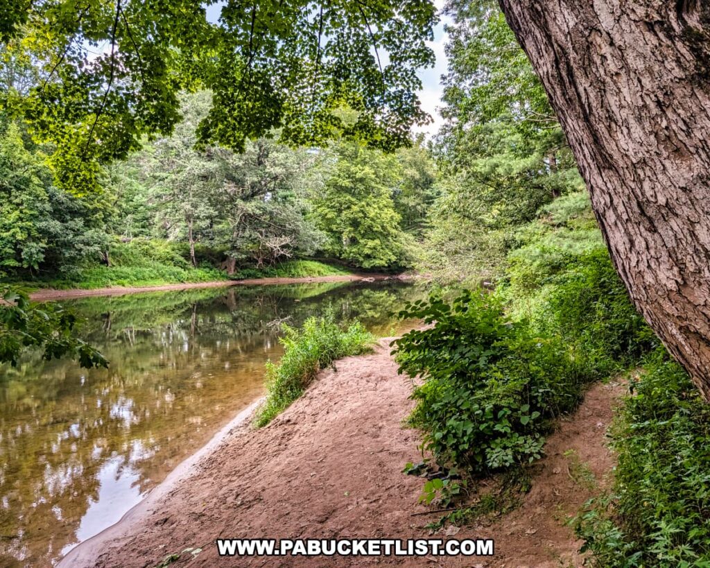 View of the Lackawaxen River from the Riverside Trail at the D\&H Canal Park in Wayne County, Pennsylvania, with calm water reflecting the surrounding trees and a sandy riverbank in the foreground.