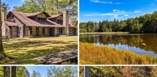 Collage of four images from SB Elliott State Park in Clearfield County, Pennsylvania, showcasing a large rustic log lodge built by the Civilian Conservation Corps, a peaceful fishing pond surrounded by forest, a wooden footbridge along a fern-filled trail, and the official park entrance sign set against colorful autumn foliage.