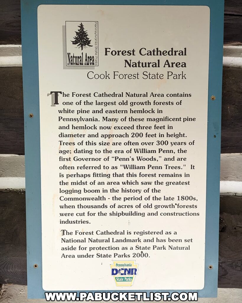 Informational sign at the Forest Cathedral Natural Area in Cook Forest State Park, Pennsylvania, describing the old growth white pine and eastern hemlock forest with trees over 300 years old and nearly 200 feet tall, designated a National Natural Landmark and protected as a State Park Natural Area.