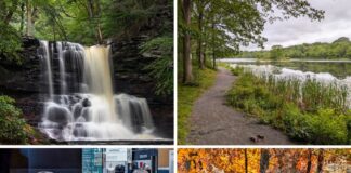 Collage of Luzerne County attractions including a waterfall at Ricketts Glen State Park, a lakeside trail at Nescopeck State Park, exhibits at the Anthracite Heritage Museum, and the Seven Tubs Recreation Area entrance sign surrounded by fall foliage.