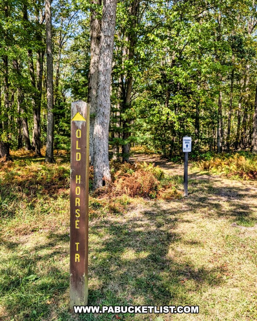 Trailhead for the Old Horse Trail at SB Elliott State Park in Clearfield County, Pennsylvania, marked by a wooden post and a fishing area sign, with a forested path leading into the trees.