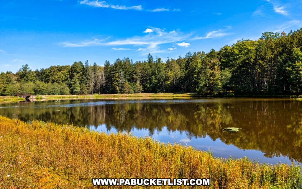 Scenic pond near SB Elliott State Park in Clearfield County, Pennsylvania, surrounded by wildflowers and forest, with calm water reflecting the trees and a small footbridge visible in the distance under a bright blue sky.