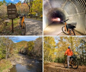 Collage of four photos showcasing scenes along the Penn’s Creek Path in Bald Eagle State Forest, including an orange bicycle near the Penn’s Creek Wild Area sign, inside the curved Poe Paddy Tunnel, overlooking Penn’s Creek with a forested hill in the distance, and a cyclist in an orange jacket riding through a tunnel of golden autumn foliage.